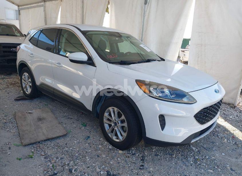 2020 Ford Escape SE (VIN 1FMCU9G65LUA37862) main photo