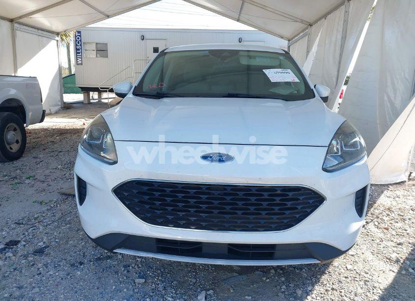Photo 6 of 2020 Ford Escape SE (VIN 1FMCU9G65LUA37862)