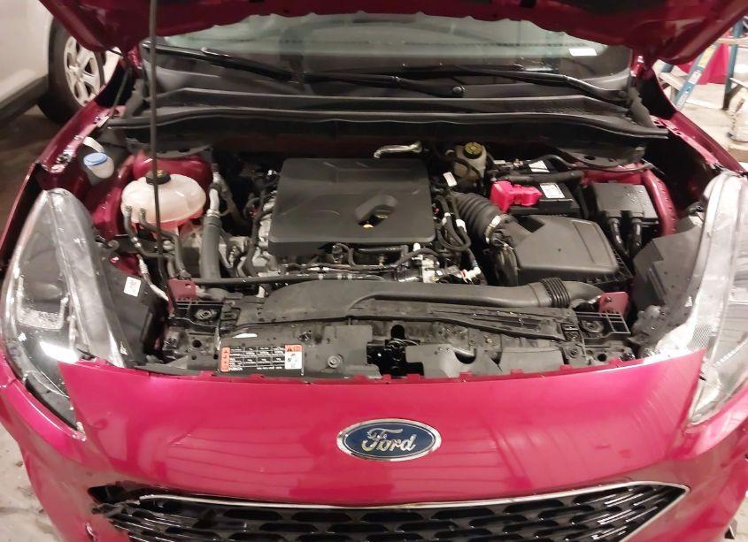 Photo 10 of 2020 Ford Escape SE (VIN 1FMCU9G65LUA38834)