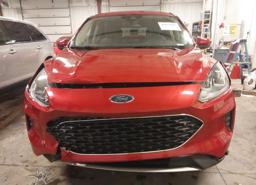 Photo 18 of 2020 Ford Escape SE (VIN 1FMCU9G65LUA38834)