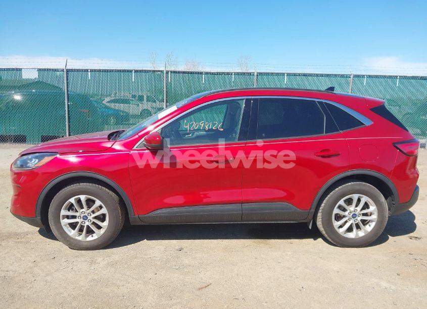 Photo 14 of 2020 Ford Escape SE (VIN 1FMCU9G65LUA45282)