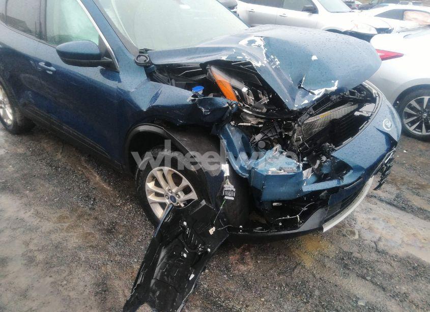 2020 Ford Escape SE (VIN 1FMCU9G65LUA65449) main photo