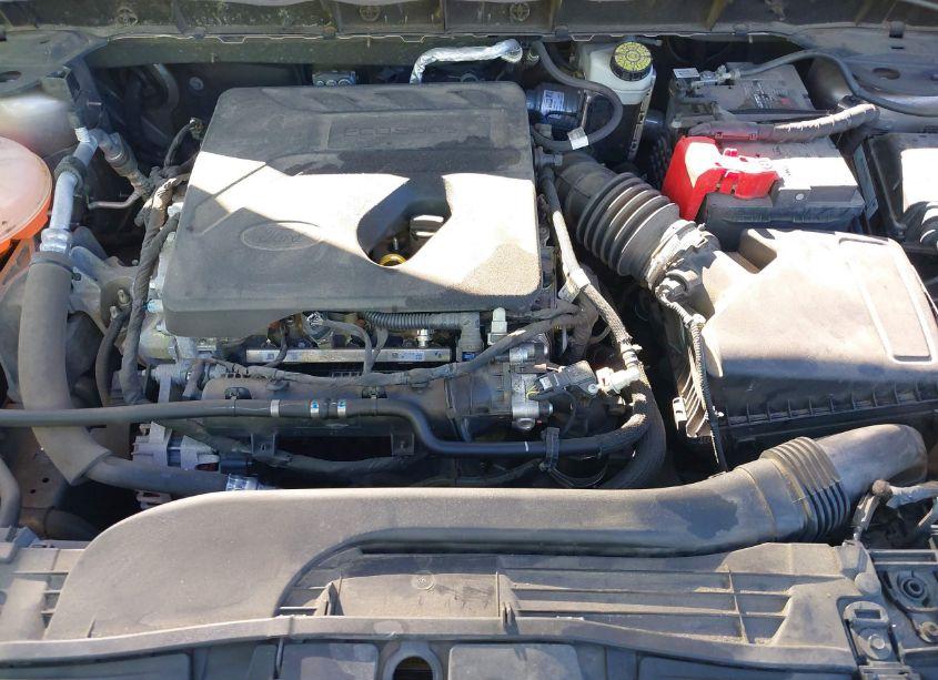 Photo 10 of 2020 Ford Escape SE (VIN 1FMCU9G65LUA82610)