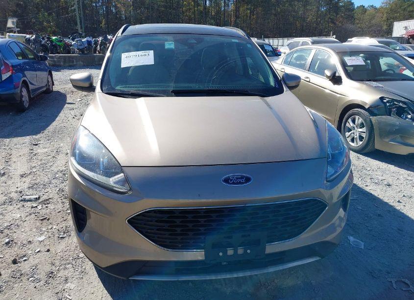 Photo 12 of 2020 Ford Escape SE (VIN 1FMCU9G65LUA82610)