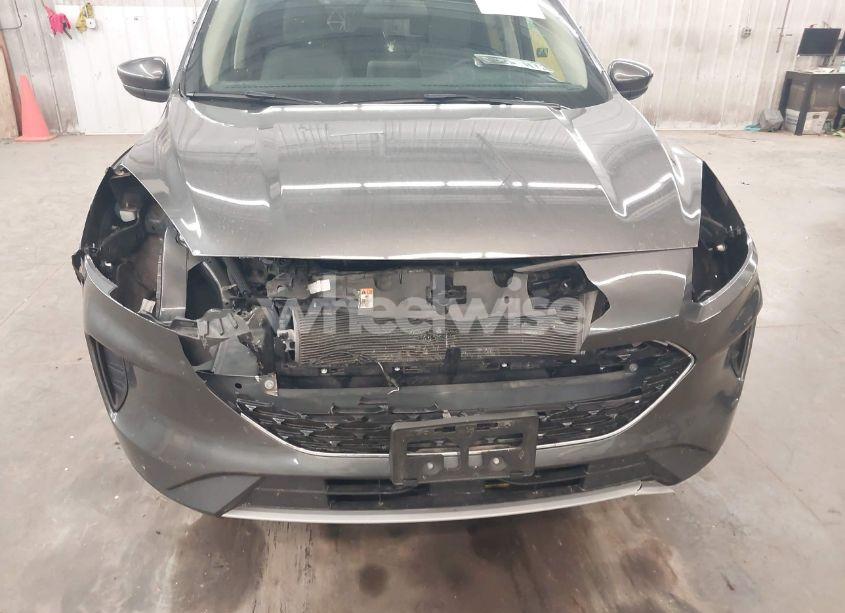 Photo 6 of 2020 Ford Escape SE (VIN 1FMCU9G65LUA99617)