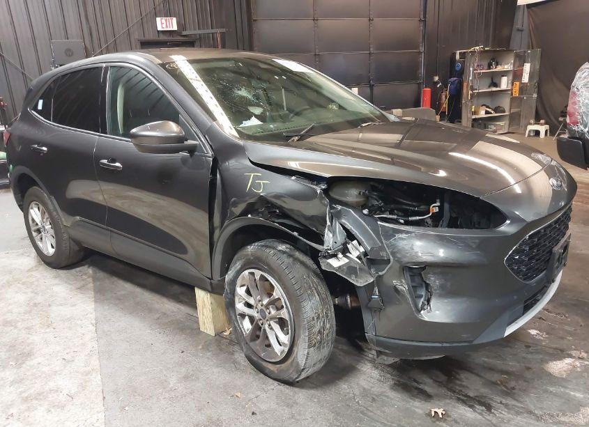 2020 Ford Escape SE (VIN 1FMCU9G65LUB37296) main photo