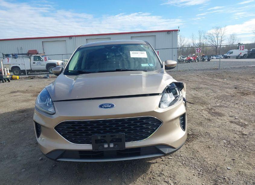 Photo 12 of 2020 Ford Escape SE (VIN 1FMCU9G65LUC32408)
