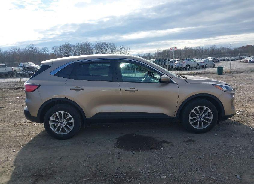 Photo 13 of 2020 Ford Escape SE (VIN 1FMCU9G65LUC32408)