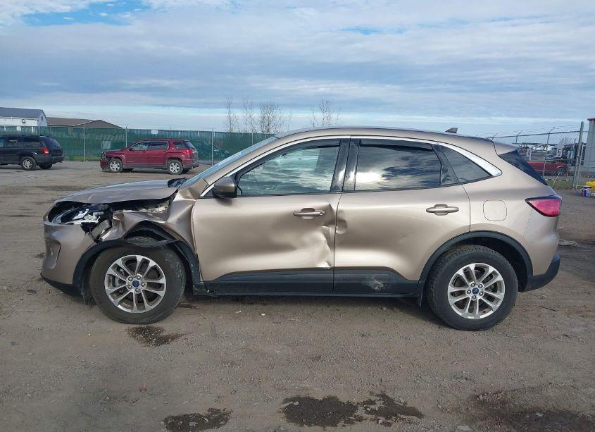 Photo 14 of 2020 Ford Escape SE (VIN 1FMCU9G65LUC32408)