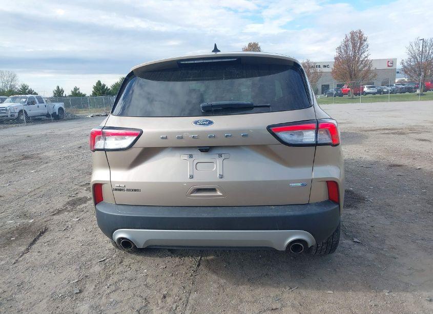 Photo 16 of 2020 Ford Escape SE (VIN 1FMCU9G65LUC32408)