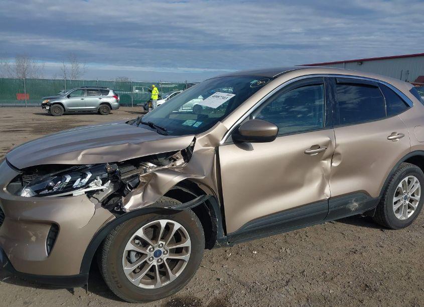 Photo 6 of 2020 Ford Escape SE (VIN 1FMCU9G65LUC32408)