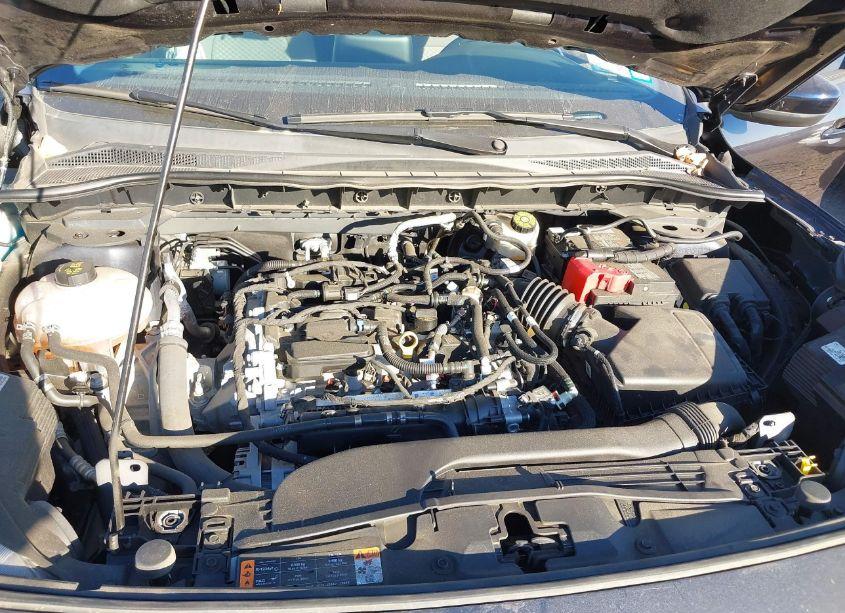 Photo 10 of 2021 Ford Escape SE (VIN 1FMCU9G65MUA25535)