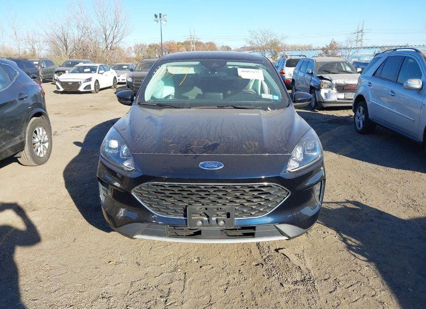 Photo 12 of 2021 Ford Escape SE (VIN 1FMCU9G65MUA25535)