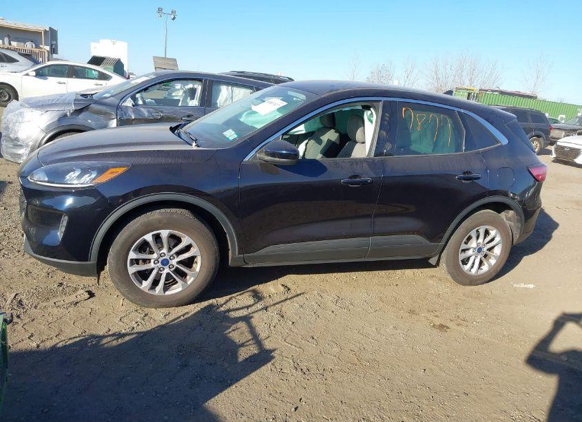 Photo 14 of 2021 Ford Escape SE (VIN 1FMCU9G65MUA25535)
