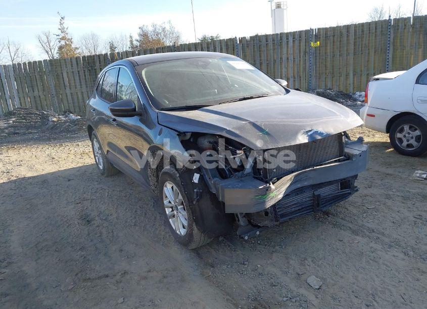 2020 Ford Escape SE (VIN 1FMCU9G66LUA09858) main photo