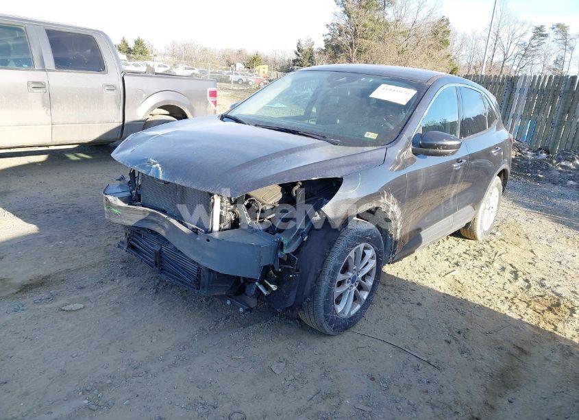 Photo 2 of 2020 Ford Escape SE (VIN 1FMCU9G66LUA09858)