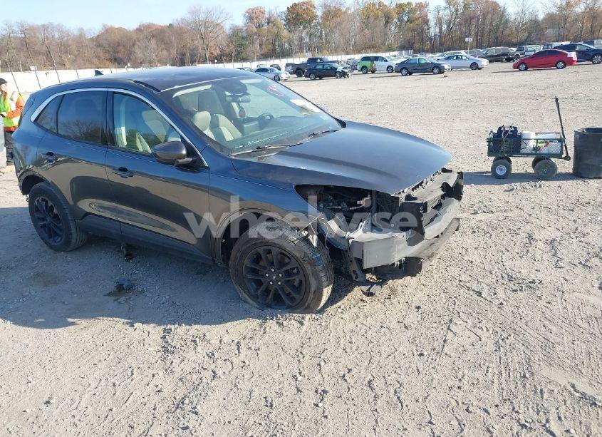 2020 Ford Escape SE (VIN 1FMCU9G66LUA11982) main photo