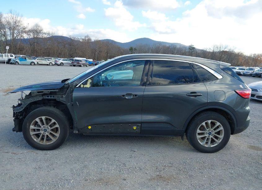 Photo 14 of 2020 Ford Escape SE (VIN 1FMCU9G66LUC62369)