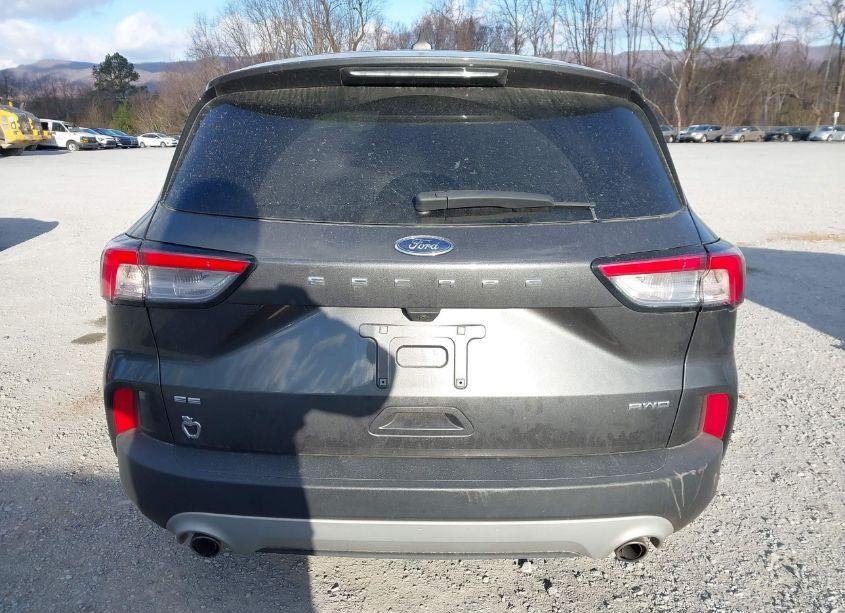 Photo 16 of 2020 Ford Escape SE (VIN 1FMCU9G66LUC62369)