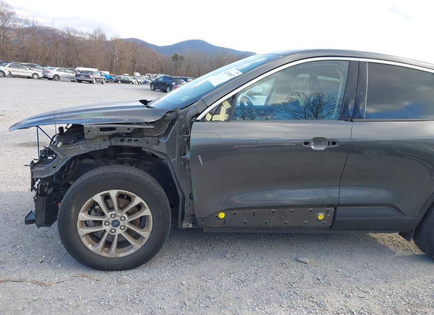 Photo 17 of 2020 Ford Escape SE (VIN 1FMCU9G66LUC62369)