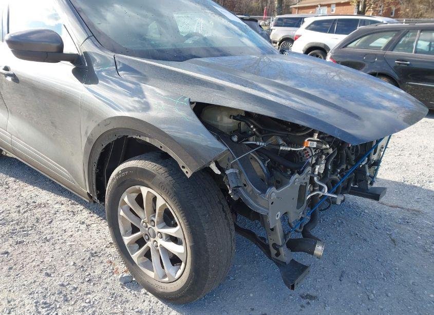 Photo 18 of 2020 Ford Escape SE (VIN 1FMCU9G66LUC62369)