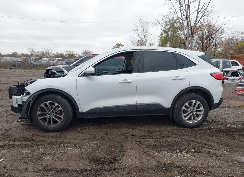 Photo 14 of 2021 Ford Escape SE (VIN 1FMCU9G66MUA65025)