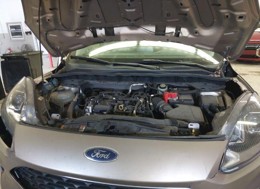 Photo 10 of 2021 Ford Escape SE (VIN 1FMCU9G66MUA95688)