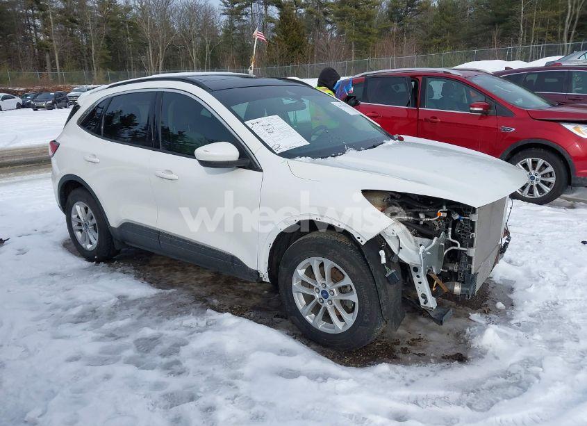 2020 Ford Escape SE (VIN 1FMCU9G67LUB21293) main photo