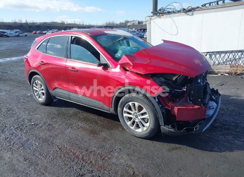 2020 Ford Escape SE (VIN 1FMCU9G67LUB37980) main photo