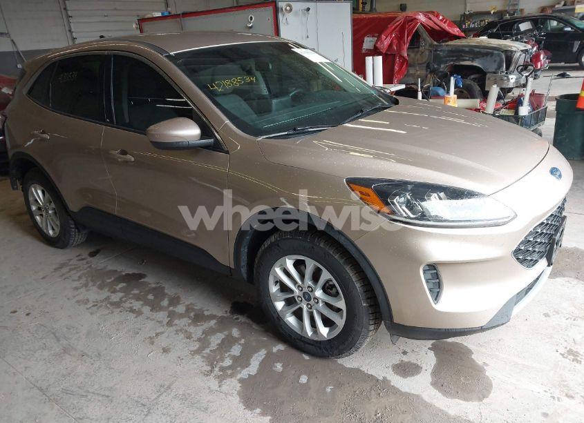 2020 Ford Escape SE (VIN 1FMCU9G67LUC14248) main photo
