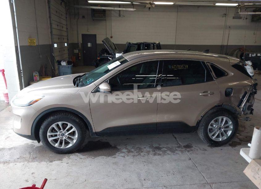 Photo 15 of 2020 Ford Escape SE (VIN 1FMCU9G67LUC14248)