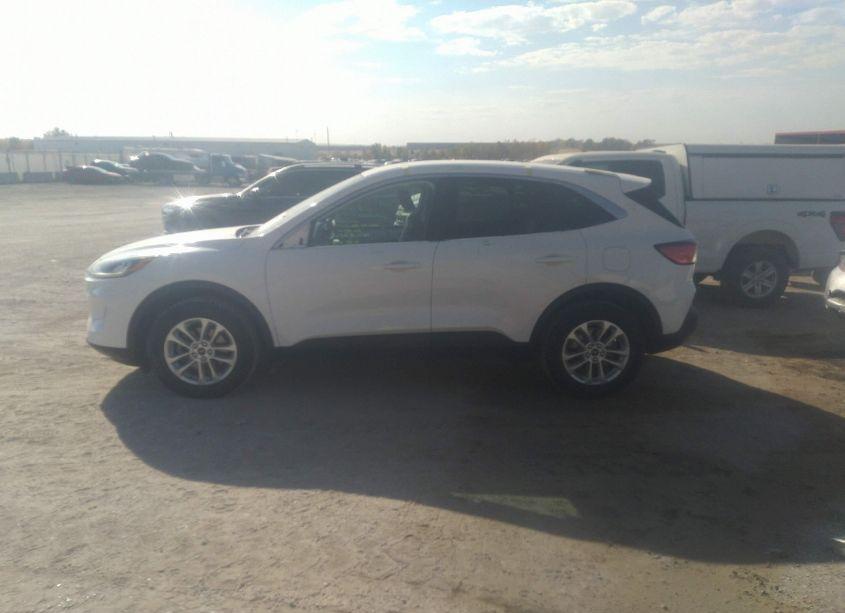 Photo 14 of 2020 Ford Escape SE (VIN 1FMCU9G67LUC77303)