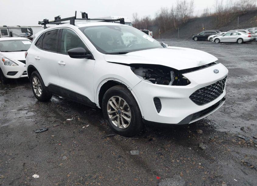 2022 Ford Escape SE (VIN 1FMCU9G67NUB31258) main photo