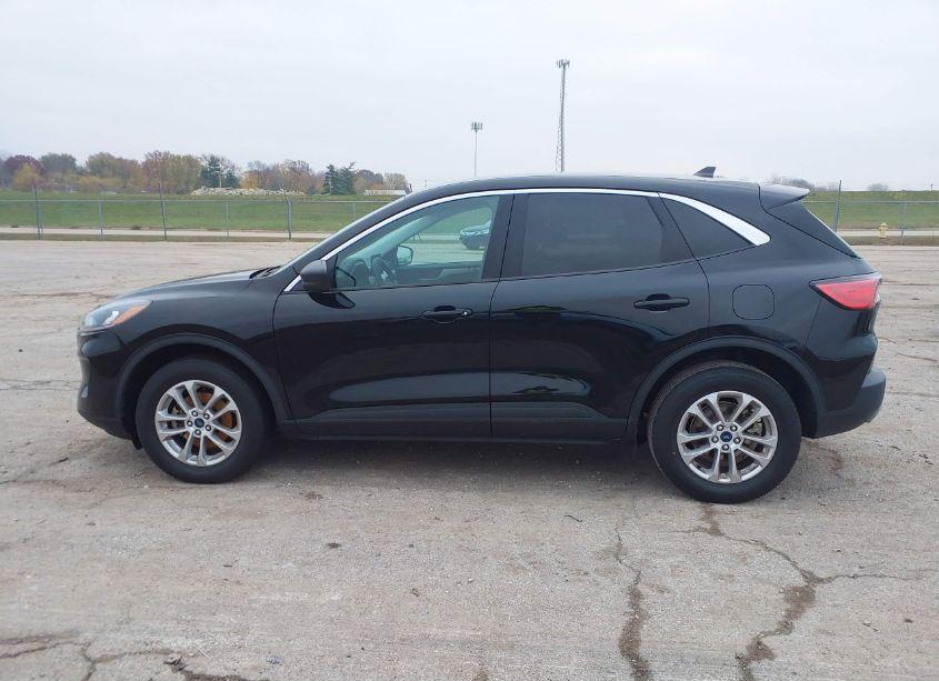 Photo 14 of 2022 Ford Escape SE (VIN 1FMCU9G67NUB33379)