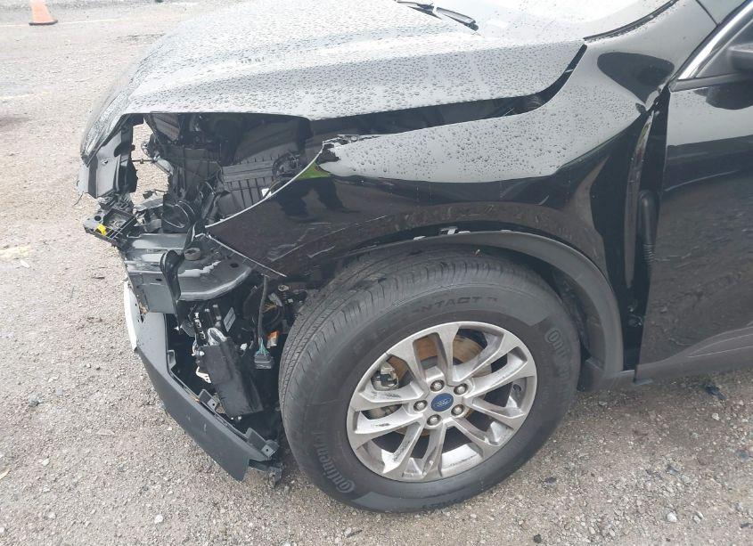 Photo 18 of 2022 Ford Escape SE (VIN 1FMCU9G67NUB40462)