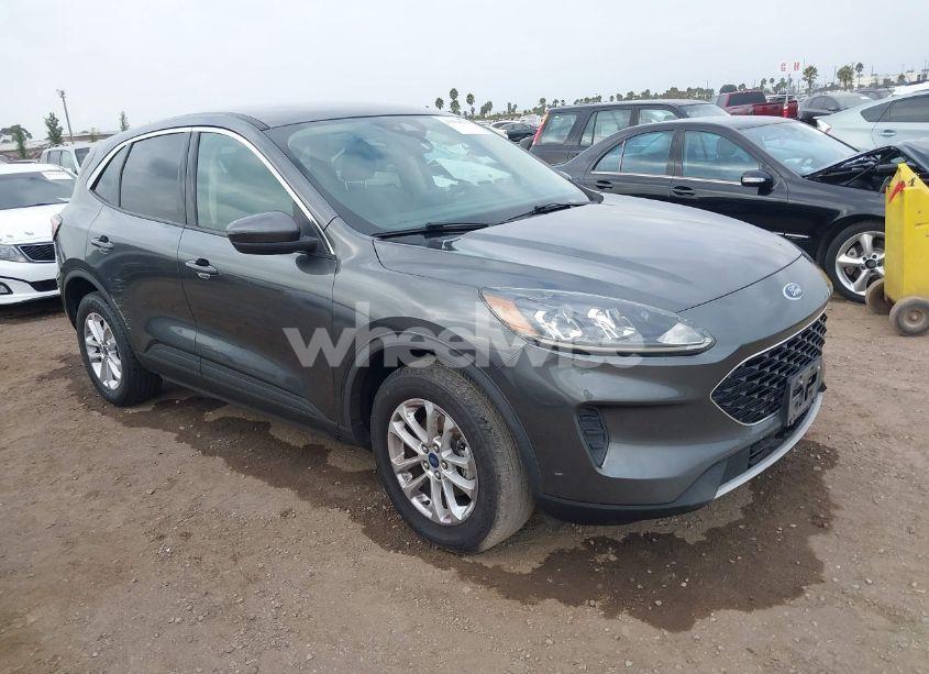 2020 Ford Escape SE (VIN 1FMCU9G68LUA38066) main photo