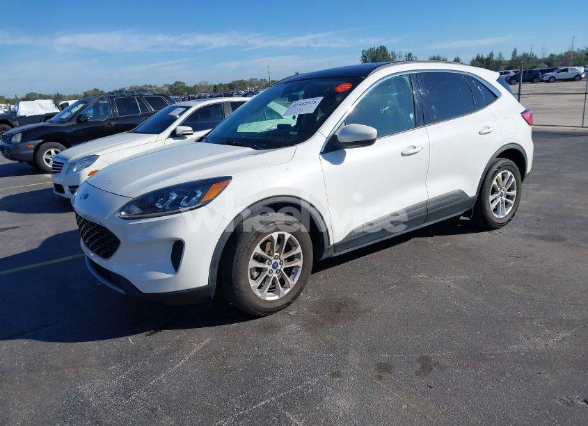 Photo 2 of 2020 Ford Escape SE (VIN 1FMCU9G68LUA74517)