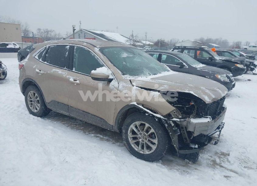 2020 Ford Escape SE (VIN 1FMCU9G68LUA97196) main photo