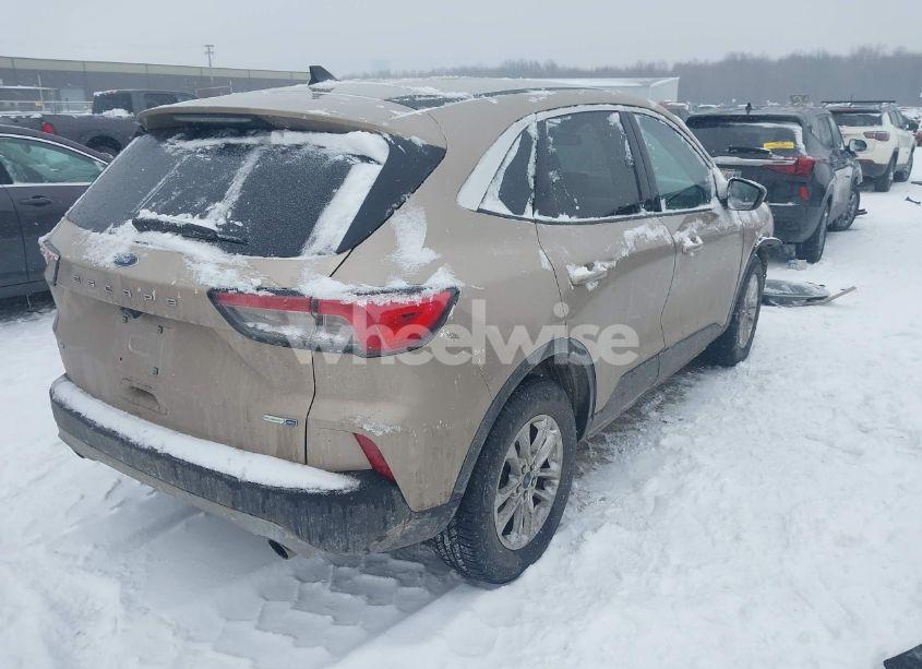 Photo 4 of 2020 Ford Escape SE (VIN 1FMCU9G68LUA97196)