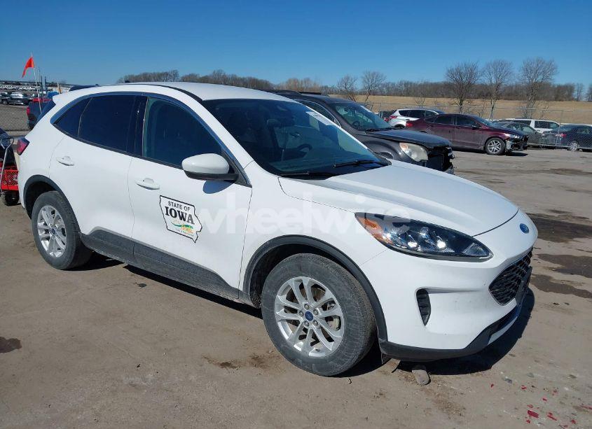 2020 Ford Escape SE (VIN 1FMCU9G69LUA38013) main photo