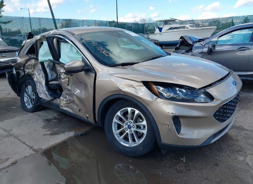 2020 Ford Escape SE (VIN 1FMCU9G69LUC54413) main photo