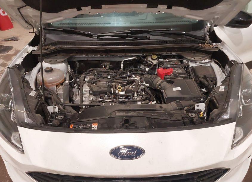 Photo 10 of 2021 Ford Escape SE (VIN 1FMCU9G69MUA20757)