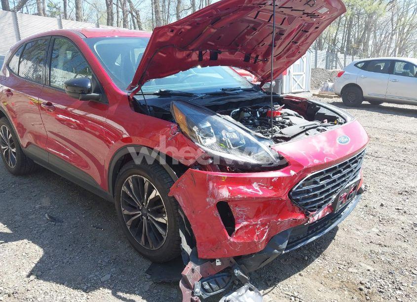 Photo 6 of 2021 Ford Escape SE (VIN 1FMCU9G69MUB30059)