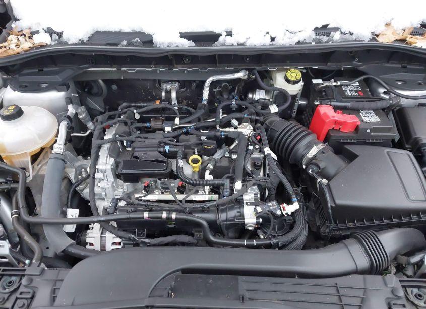 Photo 10 of 2020 Ford Escape SE (VIN 1FMCU9G6XLUC70541)