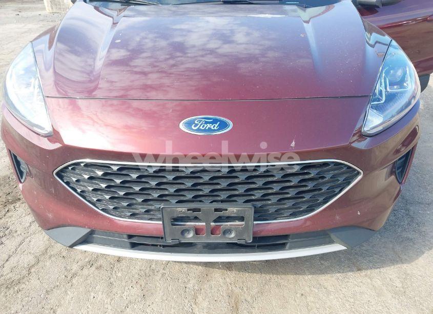 Photo 6 of 2021 Ford Escape SE (VIN 1FMCU9G6XMUA39981)