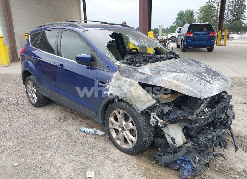 2013 Ford Escape SE (VIN 1FMCU9G90DUD10802) main photo