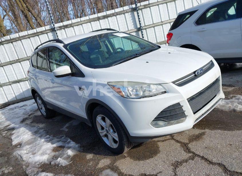 2014 Ford Escape SE (VIN 1FMCU9G90EUD45874) main photo