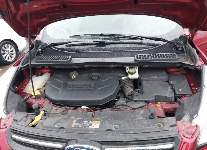 Photo 10 of 2015 Ford Escape SE (VIN 1FMCU9G90FUC11321)