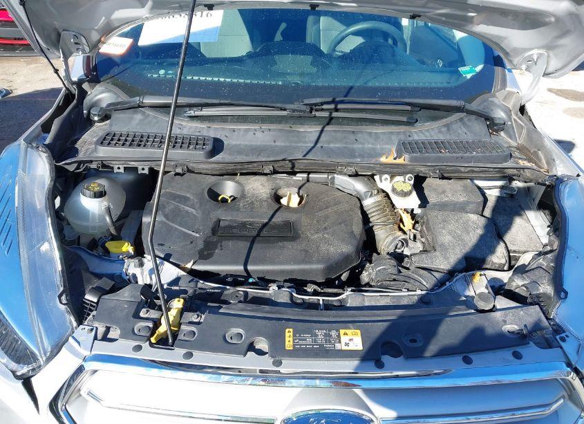 Photo 10 of 2019 Ford Escape SE (VIN 1FMCU9G90KUB66469)