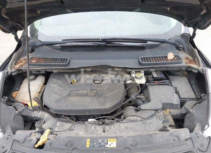 Photo 10 of 2013 Ford Escape SE (VIN 1FMCU9G91DUA07169)